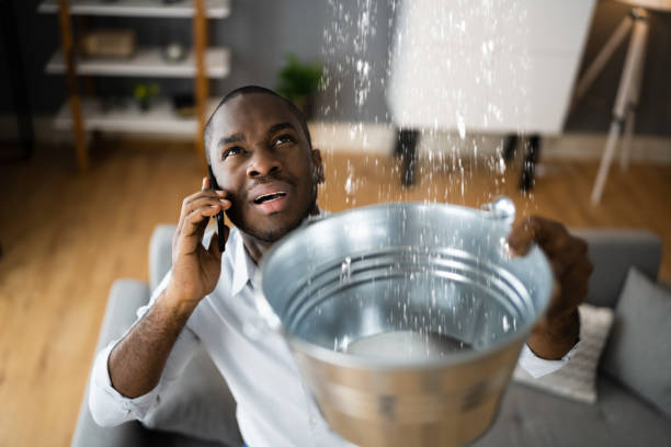 Best Flooded house restoration  in Wausau, WI