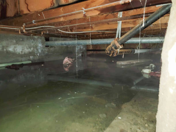 Best Sewage cleanup and water damage restoration  in Wausau, WI