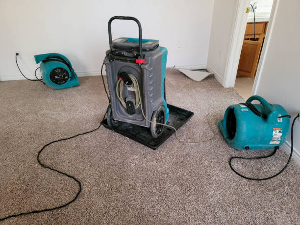 Best Basement water damage restoration  in Wausau, WI