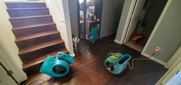 Best Fire Damage Restoration  in Wausau, WI
