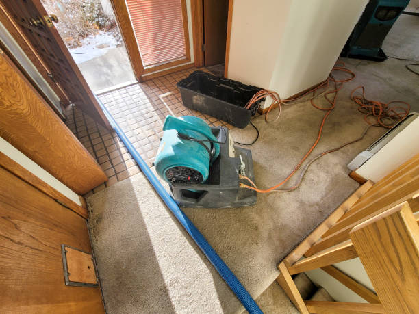 Best Mold removal after water damage  in Wausau, WI