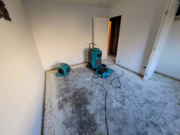 Best Flooded house restoration  in Wausau, WI