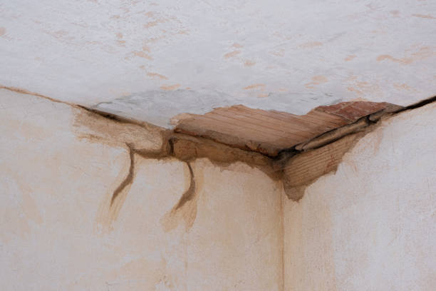 Best 24/7 water damage repair  in Wausau, WI