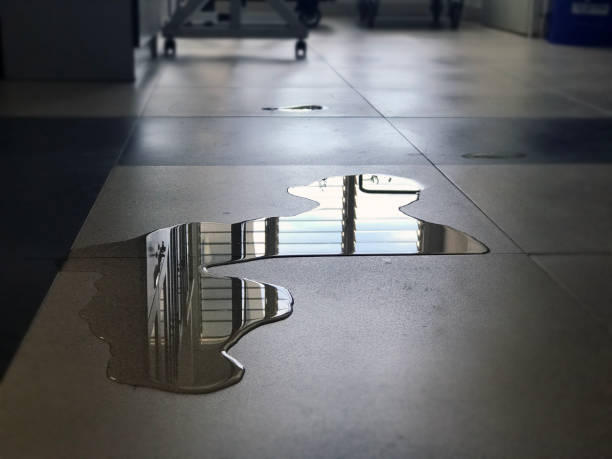 Best Water damage mitigation services  in Wausau, WI