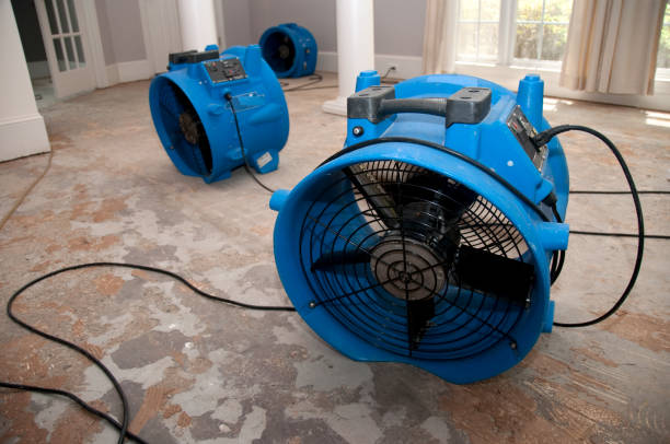 Best 24-hour water damage restoration  in Wausau, WI