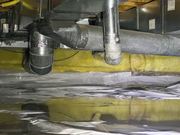 Best Basement water damage restoration  in Wausau, WI