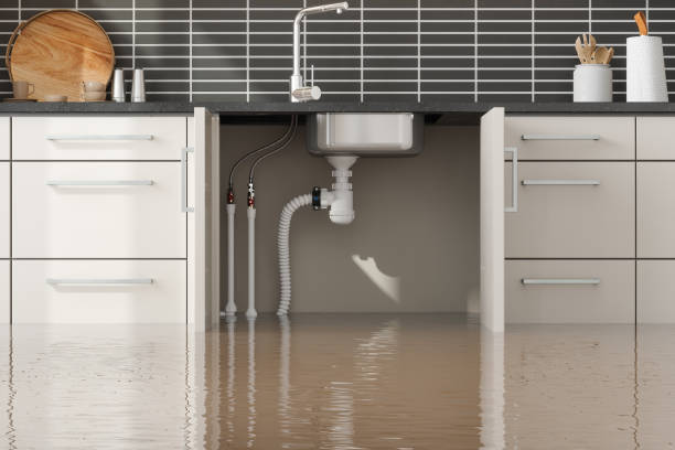 Best Flood restoration services  in Wausau, WI