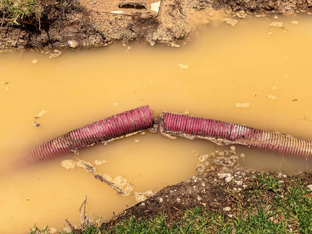 Professional Water damage restoration in WI