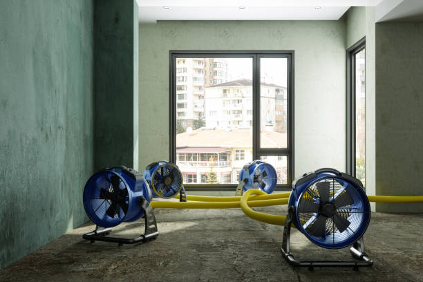 Best Residential water damage restoration  in Wausau, WI