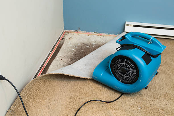 Best Commercial water damage restoration  in Wausau, WI